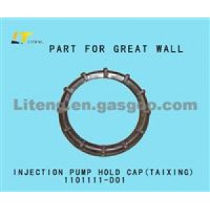 INJECTION PUMP HOLD CAP 1101000-D01